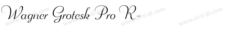 Wagner Grotesk Pro R字体转换 Wagner Grotesk Pro R字体转换